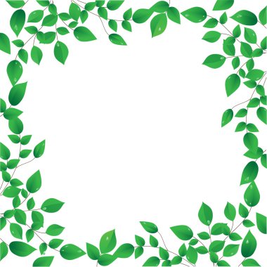 Fresh green leaves frame clipart