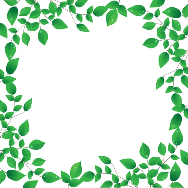 Marco de hojas verdes frescas — Vector de stock