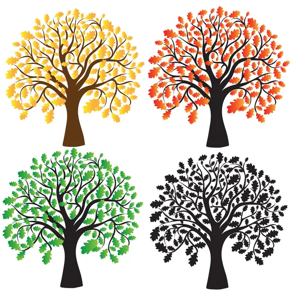 Quatre chênes au feuillage jaune, rouge, vert. Ébène . — Image vectorielle