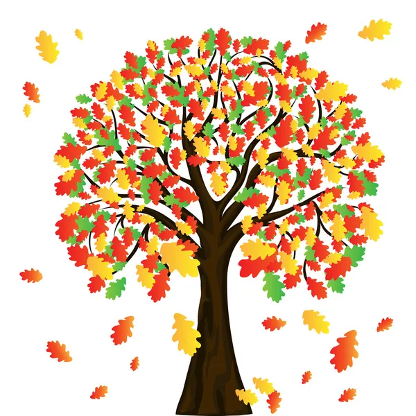 Autumn tree for your design — Stock Vector