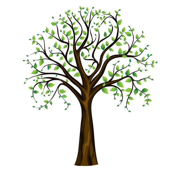 Ağaç bahar, vektör — Stok Vektör