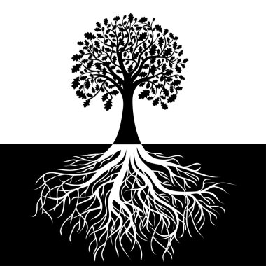 Tree with Roots on Black and white Background clipart