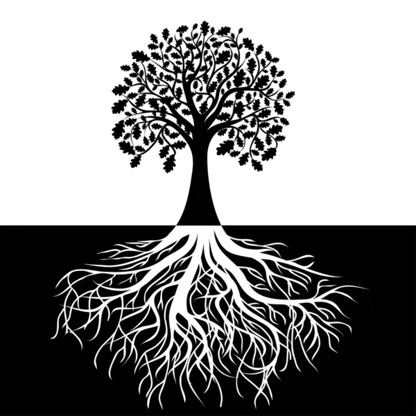 Árvore com raízes no fundo preto e branco — Vetor de Stock