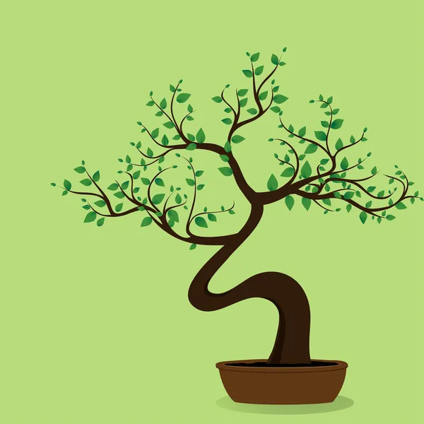 Bonsaje strom — Stockový vektor