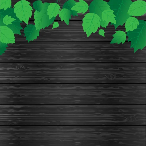 Verse groene bladeren en zon glans, frame — Stockvector