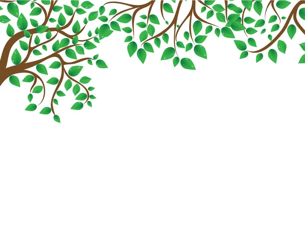 Листья на белом фоне — стоковый вектор
