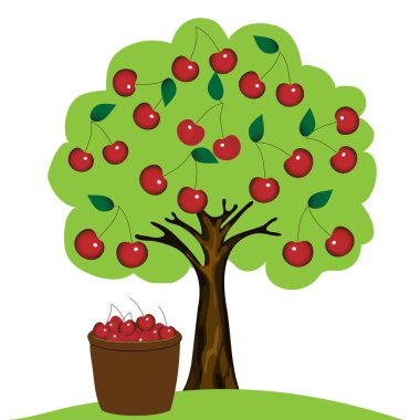 Cherry tree on white background clipart