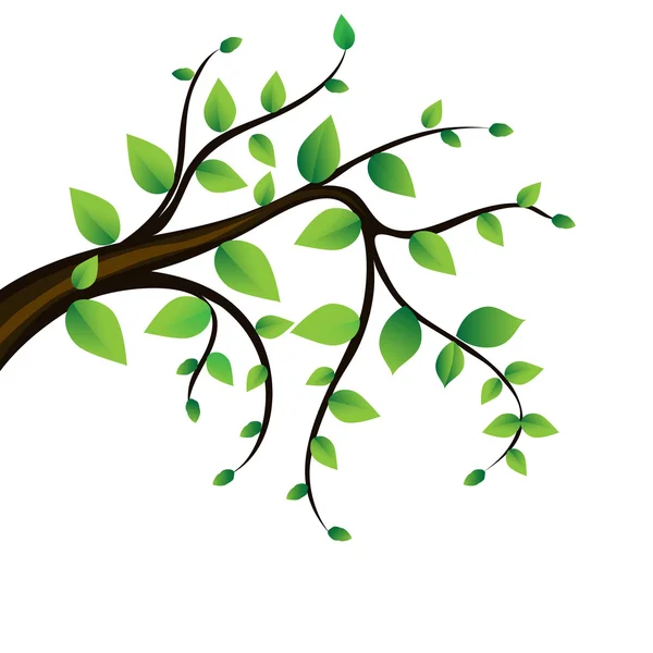 Čerstvé zelené listy a sluneční svit, rám — Stockový vektor