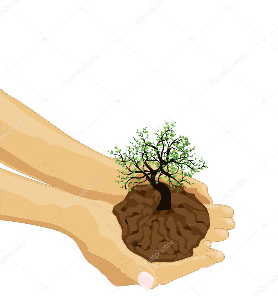 Tree bonsai in palm of hand