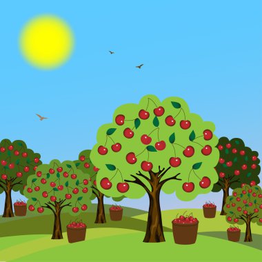 Cherry orchard clipart