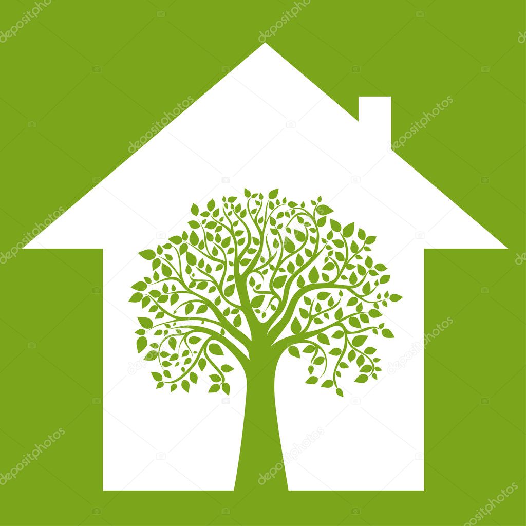 Make your home environmentally friendly