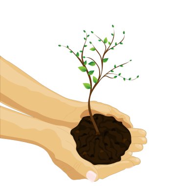 Tree in palm of hand clipart