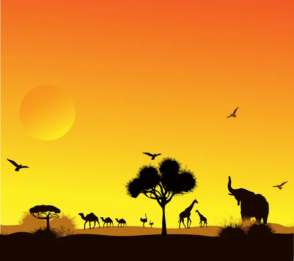 Tiere und Bäume gegen einen Sonnenuntergang in der Wüste — Stockvektor
