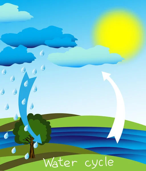 Water cycle — Stock Vector