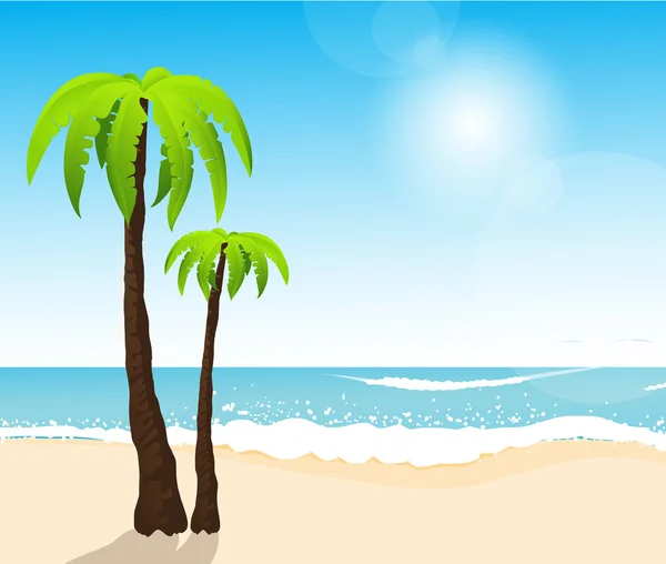 Praia de areia branca tropical perfeita com palmeiras — Vetor de Stock