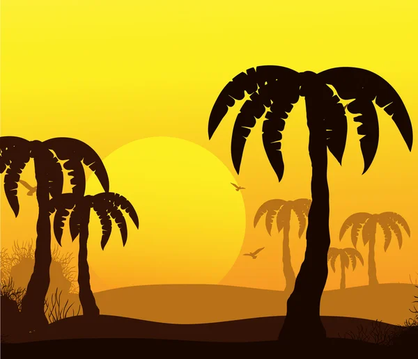 棕榈树与热带抽象背景 — 图库矢量图片