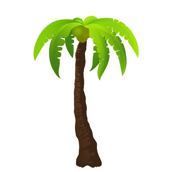 Ilustración vectorial de la palmera — Vector de stock