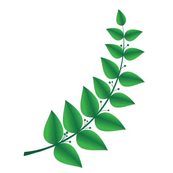 Branche de laurier, symbole de victoire — Image vectorielle