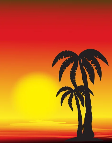 Palmträdssiluett vid solnedgången — Stock vektor