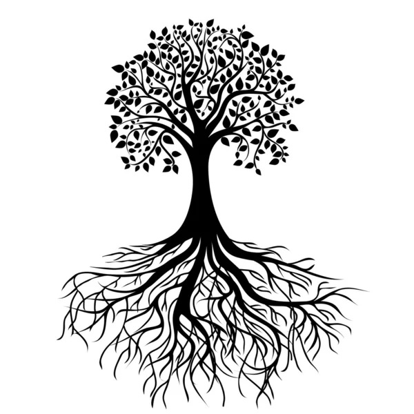 Árbol con raíces — Vector de stock