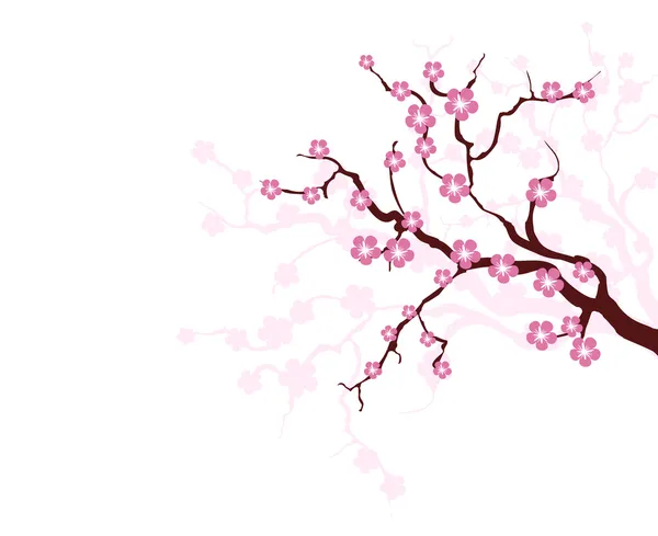 Sacura träd — Stock vektor