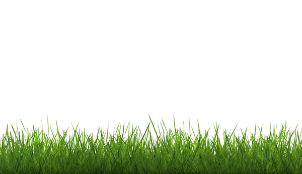 Grass and withe sky — Stock Photo, Image