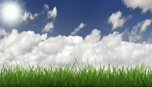 Трава и голубое небо — стоковое фото
