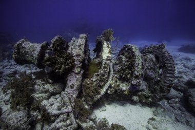 Winch on Molasses Reef in Key Largo, Florida clipart