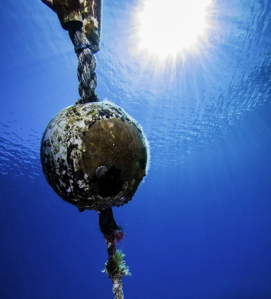 Boule d'amarrage sous-marine avec fond bleu — Photo