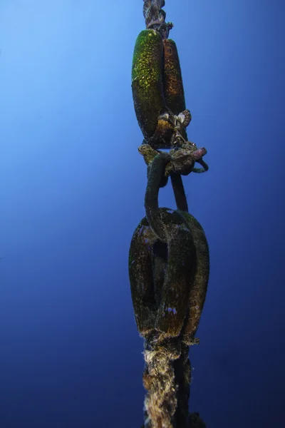 Chaîne d'amarrage sous-marine avec fond bleu — Photo