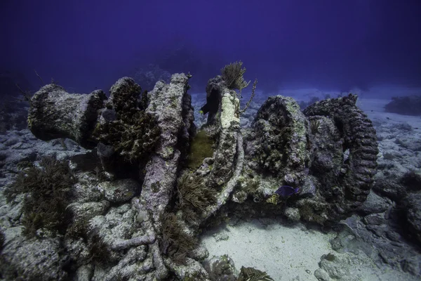 Winch on Molasses Reef in Key Largo, Florida — Stock Photo, Image