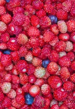 Close-up photo of little wild strawberries clipart