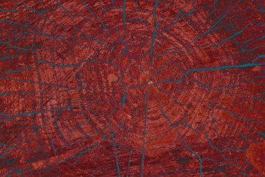 ahşap kesit arka plan