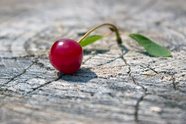 Czerwony dojrzałe wiśnia — Zdjęcie stockowe