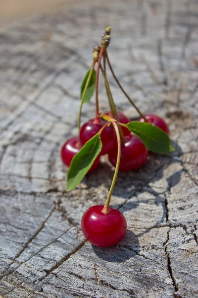 Czerwony dojrzałe wiśnie — Zdjęcie stockowe