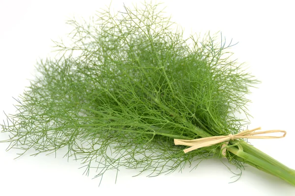 Fennel bunch — Stock Photo, Image