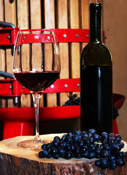 ワイン造り — ストック写真