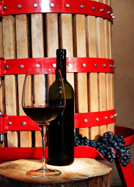 Elaboración de vino — Foto de Stock