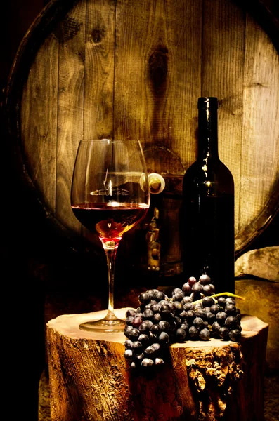 Wijn kelder — Stockfoto