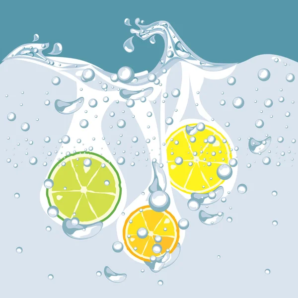 Vector van citrus in het water — Stockvector