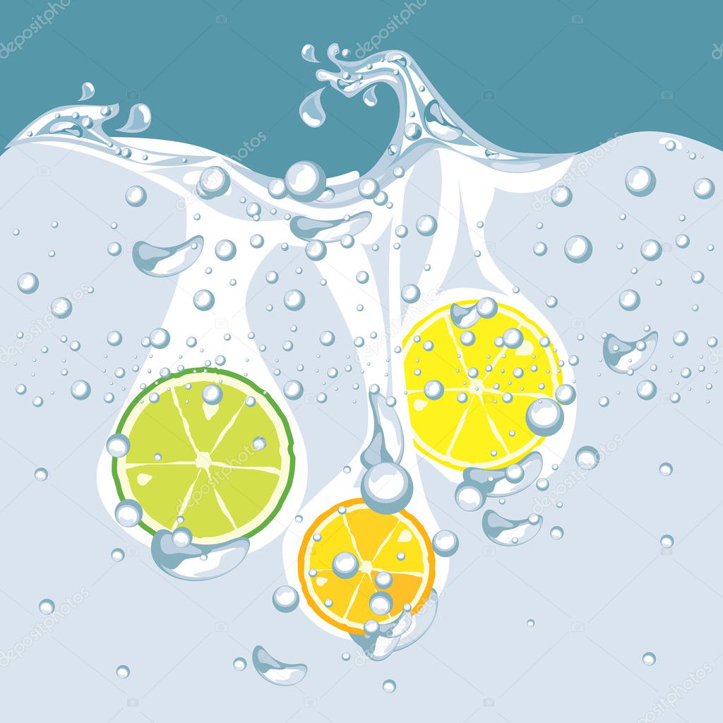 Vector of citrus in the water