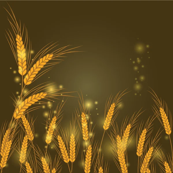 Vector illustration of wheat in a field at night — Stock Vector