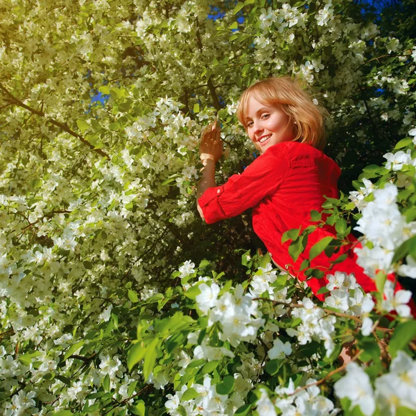 따뜻한 여름 날에 사과 나무와 함께 젊은 금발 여자 — 스톡 사진