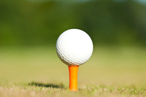Golf ball on a tee — Stock Photo, Image