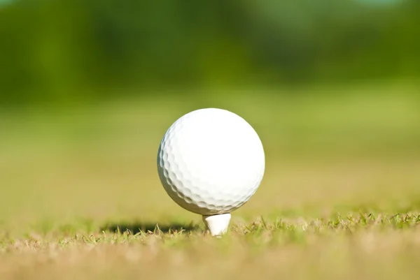 Golfbal op een tee — Stockfoto