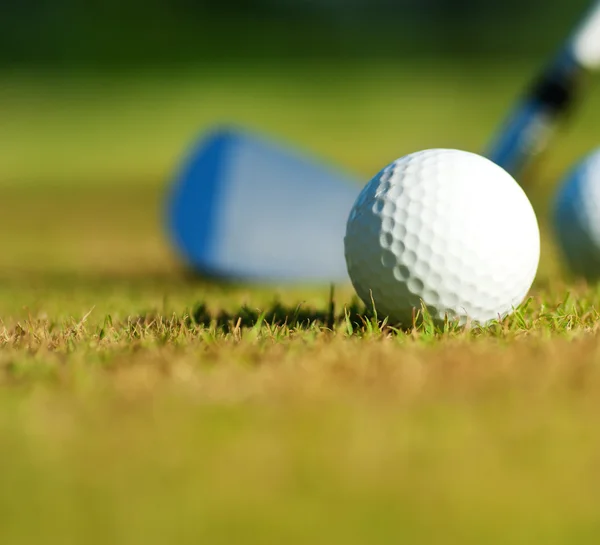 Palla da golf e autista — Foto Stock