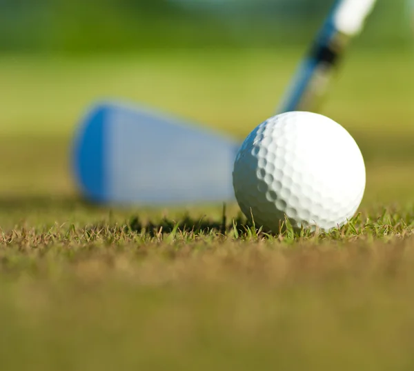 Bola de golfe e motorista — Fotografia de Stock