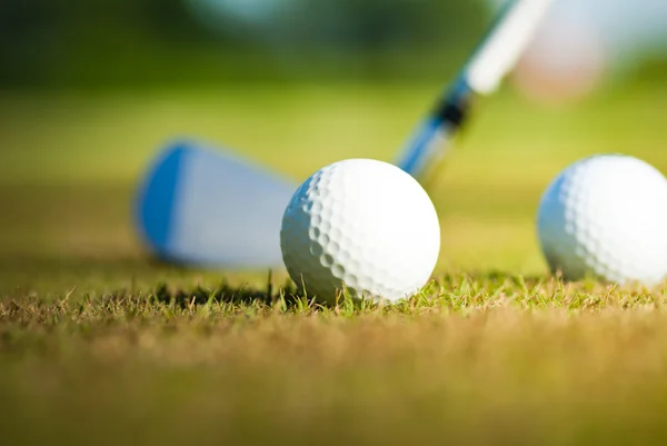 Golflabda és vezető — Stock Fotó