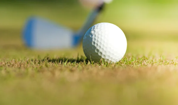 Golflabda és vezető — Stock Fotó