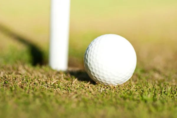 Fahrer hinter dem Golfball — Stockfoto